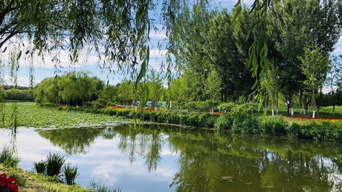 北京 千年古運(yùn)河 今朝生態(tài)園