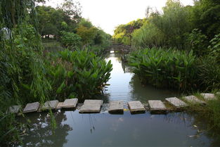 白象灣生態(tài)園景點(diǎn)電子門票 當(dāng)日可訂