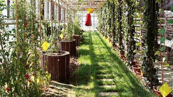 南林生態園1日游 親子產品,僅此一班