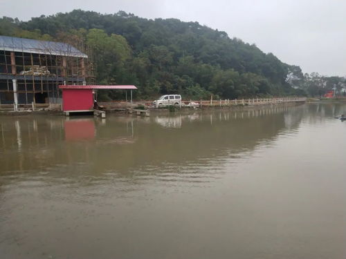 走進央視拍攝全州十大碗之 龍水禾花魚 的聚龍生態園,感覺挺好