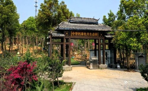 生態振興 湖光山色 中華鈣果牡丹生態園