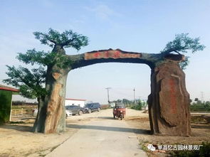 九龍?zhí)渡鷳B(tài)園大門設(shè)計(jì)制作——融合自然與人文的藝術(shù)表達(dá)