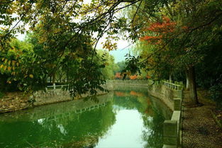 蘇州避暑秘境｜九龍潭生態園 炎夏26℃的清涼天堂，一般人我不告訴TA