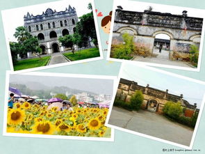 清新、自然，暢聽未來——武宣環(huán)豐生態(tài)園與九龍?zhí)渡鷳B(tài)園的生態(tài)之旅