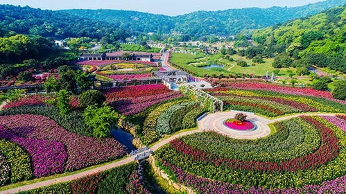 無(wú)錫春季太湖灣花美茶香之旅入選鄉(xiāng)村休閑旅游精品線路