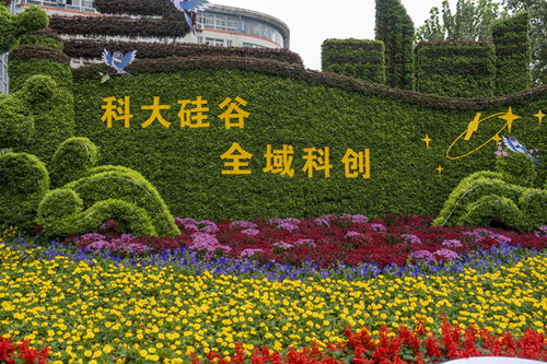 九龍潭生態園與合肥150余個主題花展共繪生態園林城市新畫卷